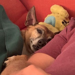 Meet your Posher, James